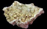 Gemmy, Yellow-Green Adamite Crystals - Durango, Mexico #65313-1